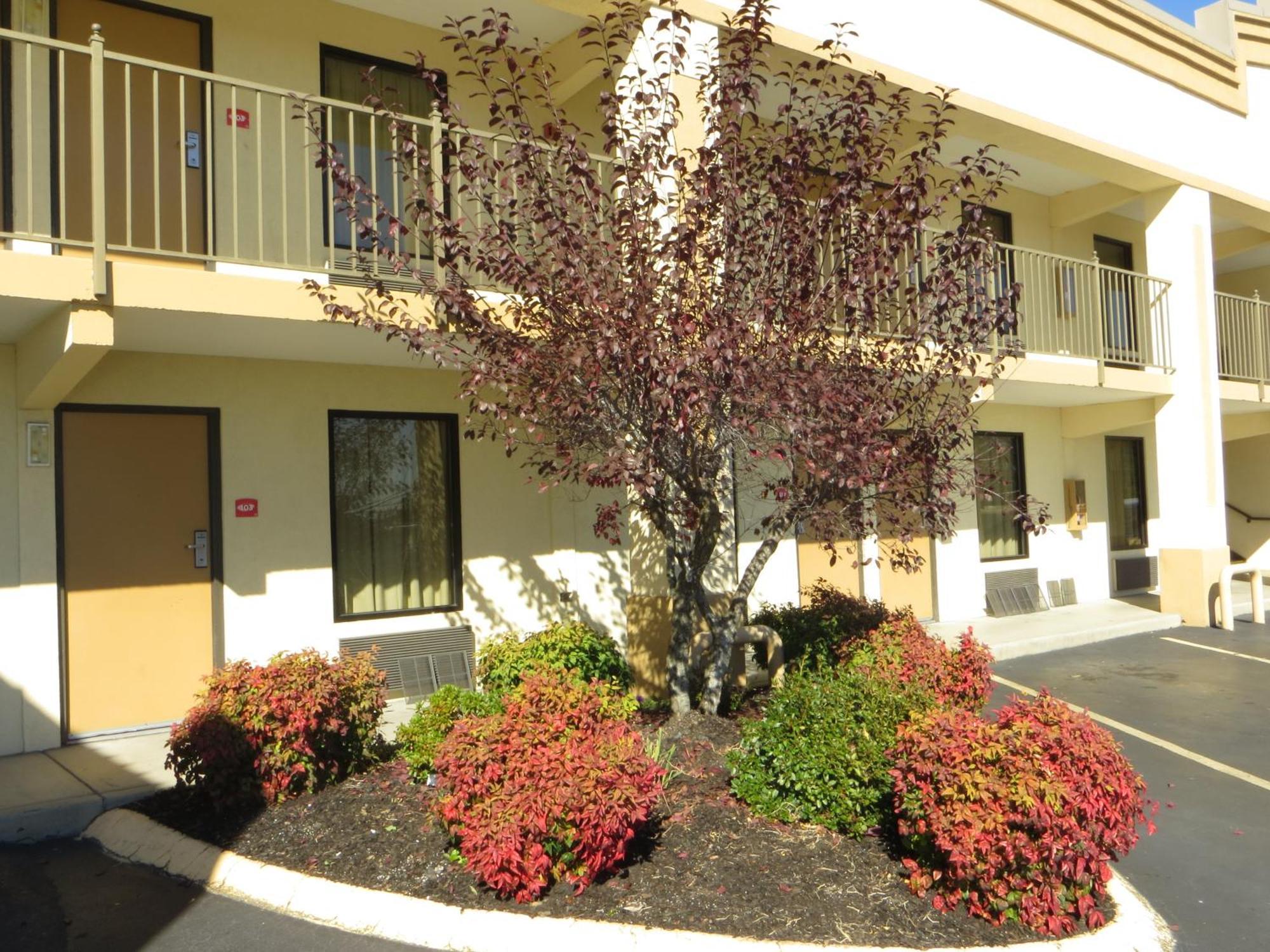 Econo Lodge Lenoir City Zewnętrze zdjęcie